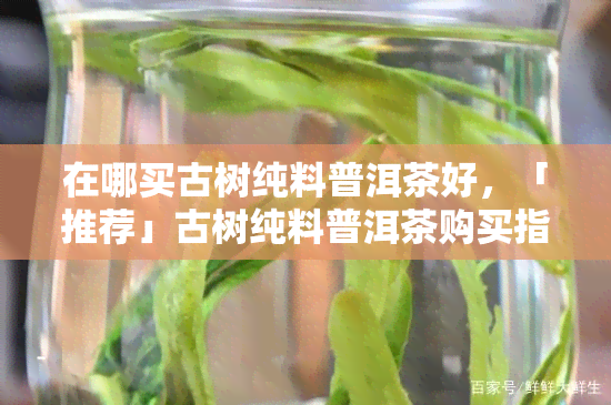 在哪买古树纯料普洱茶好，「推荐」古树纯料普洱茶购买指南：哪里可以买到正宗的？