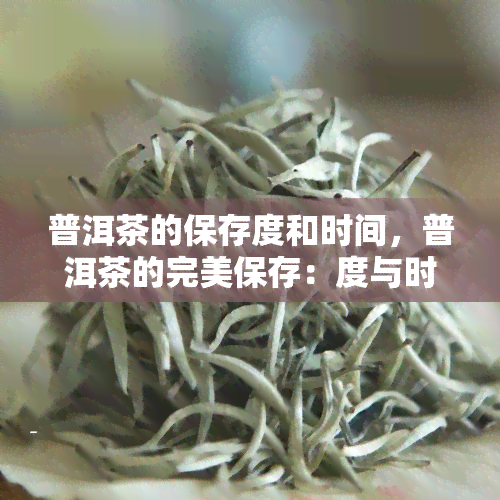 普洱茶的保存度和时间，普洱茶的完美保存：度与时间指南