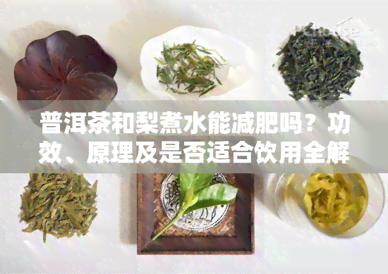 普洱茶和梨煮水能减肥吗？功效、原理及是否适合饮用全解析