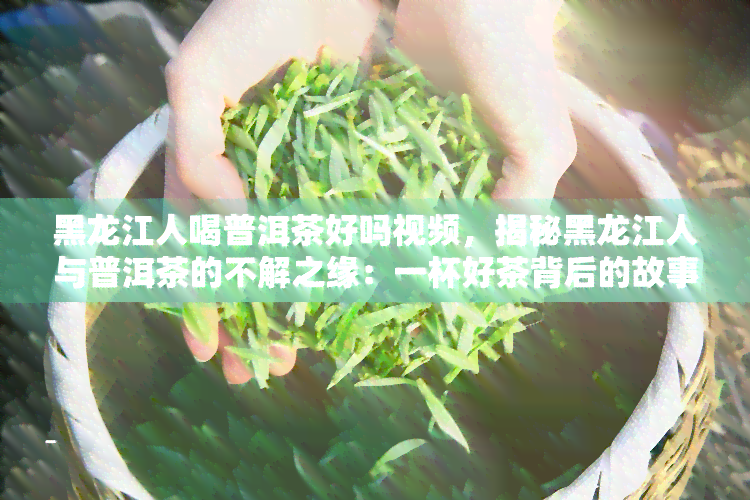 黑龙江人喝普洱茶好吗视频，揭秘黑龙江人与普洱茶的不解之缘：一杯好茶背后的故事