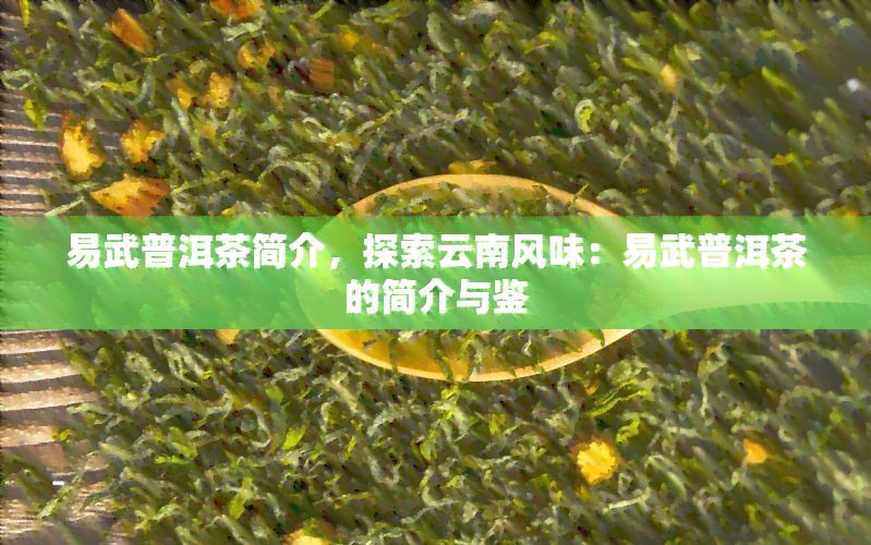 易武普洱茶简介，探索云南风味：易武普洱茶的简介与鉴