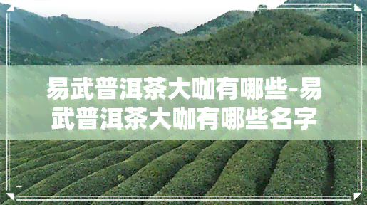 易武普洱茶大咖有哪些-易武普洱茶大咖有哪些名字