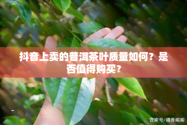 抖音上卖的普洱茶叶质量如何？是否值得购买？