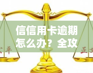 信信用卡逾期怎么办？全攻略：后果、自救办法及处理流程