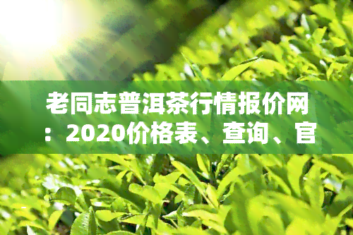 老同志普洱茶行情报价网：2020价格表、查询、官方、口感特点、功效与作用介绍