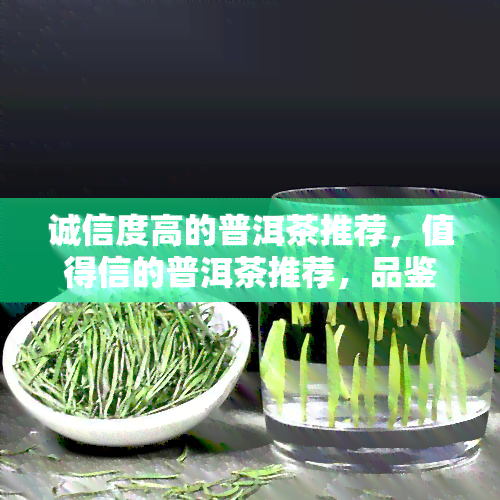 诚信度高的普洱茶推荐，值得信的普洱茶推荐，品鉴高品质茶叶