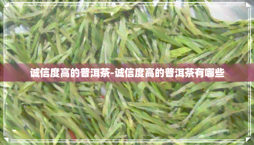 诚信度高的普洱茶-诚信度高的普洱茶有哪些