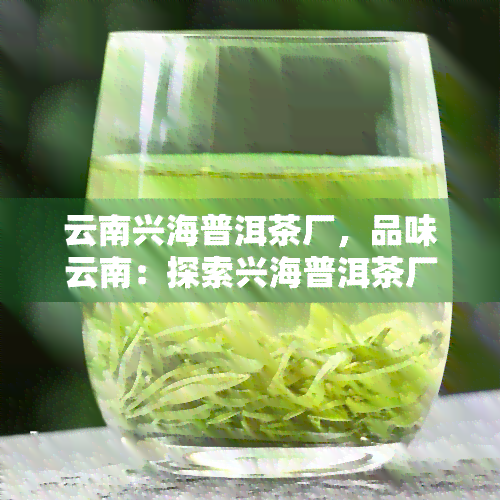 云南兴海普洱茶厂，品味云南：探索兴海普洱茶厂的茶叶制作工艺与历