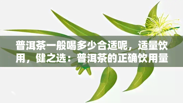 普洱茶一般喝多少合适呢，适量饮用，健之选：普洱茶的正确饮用量探讨