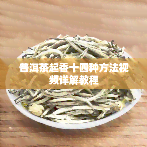 普洱茶起香十四种方法视频详解教程