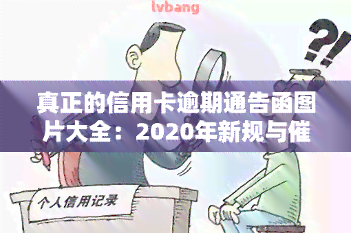 真正的信用卡逾期通告函图片大全：2020年新规与新规定，包含逾期通知短信及处理方法