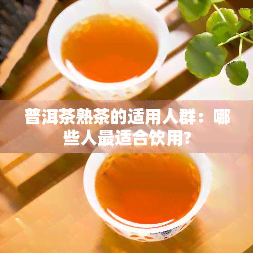 普洱茶熟茶的适用人群：哪些人最适合饮用?