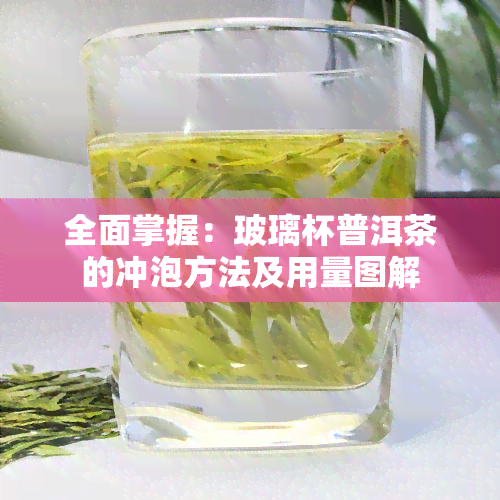 全面掌握：玻璃杯普洱茶的冲泡方法及用量图解