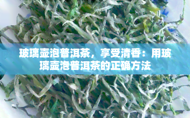 玻璃壶泡普洱茶，享受清香：用玻璃壶泡普洱茶的正确方法