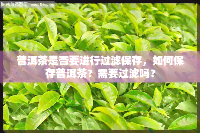 普洱茶是否要进行过滤保存，如何保存普洱茶？需要过滤吗？