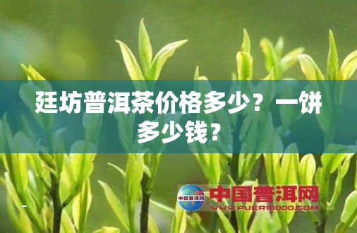 廷坊普洱茶价格多少？一饼多少钱？