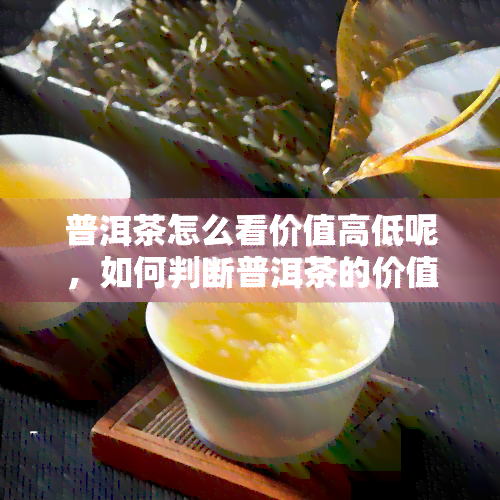 普洱茶怎么看价值高低呢，如何判断普洱茶的价值：全面解析