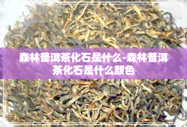 森林普洱茶化石是什么-森林普洱茶化石是什么颜色