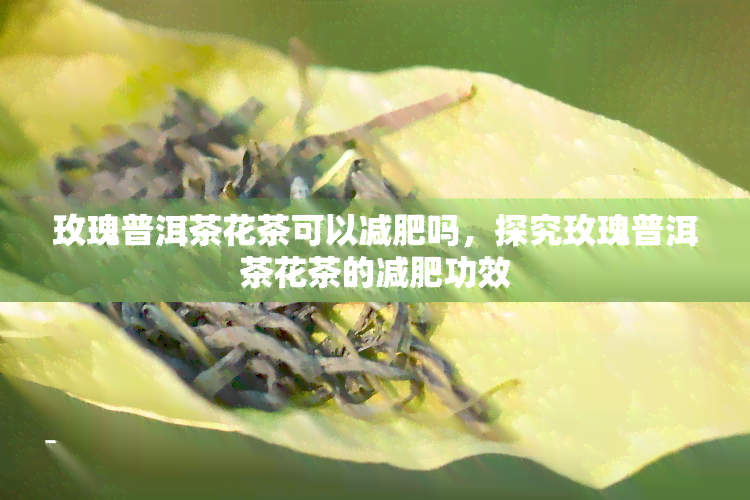 玫瑰普洱茶花茶可以减肥吗，探究玫瑰普洱茶花茶的减肥功效