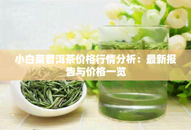 小白菜普洱茶价格行情分析：最新报告与价格一览