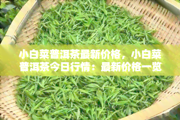 小白菜普洱茶最新价格，小白菜普洱茶今日行情：最新价格一览！