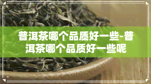 普洱茶哪个品质好一些-普洱茶哪个品质好一些呢