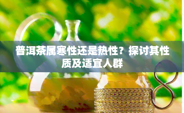 普洱茶属寒性还是热性？探讨其性质及适宜人群