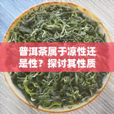 普洱茶属于凉性还是性？探讨其性质与分类