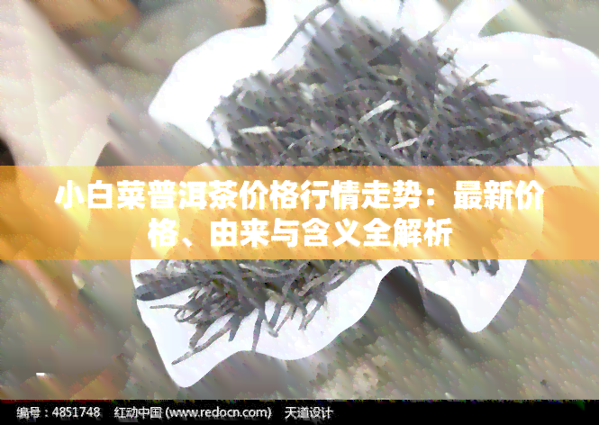 小白菜普洱茶价格行情走势：最新价格、由来与含义全解析