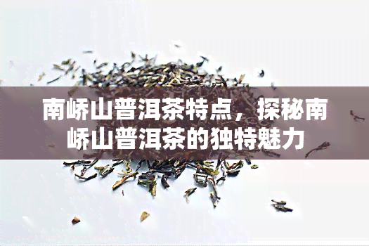 南峤山普洱茶特点，探秘南峤山普洱茶的独特魅力