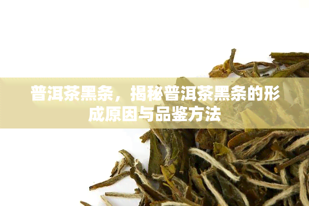 普洱茶黑条，揭秘普洱茶黑条的形成原因与品鉴方法