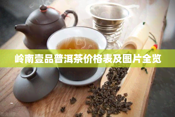 岭南壹品普洱茶价格表及图片全览