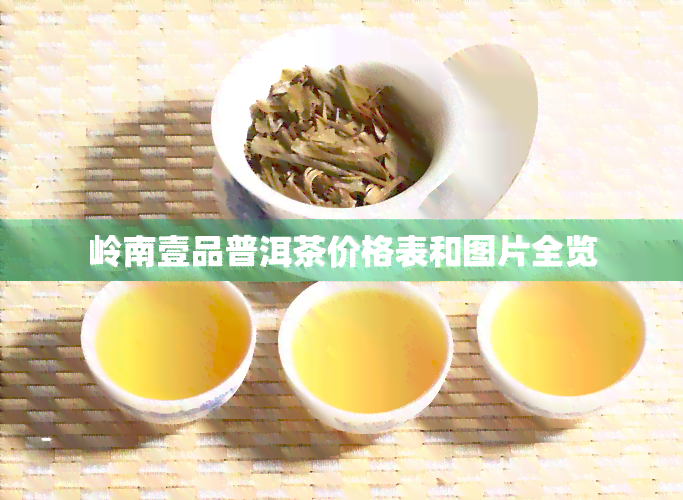 岭南壹品普洱茶价格表和图片全览