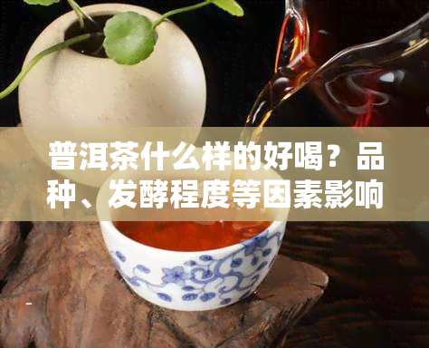 普洱茶什么样的好喝？品种、发酵程度等因素影响口感