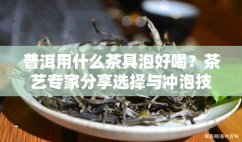 普洱用什么茶具泡好喝？茶艺专家分享选择与冲泡技巧