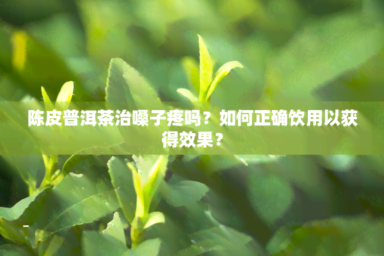 陈皮普洱茶治嗓子疼吗？如何正确饮用以获得效果？