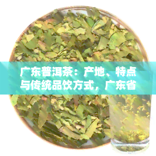 广东普洱茶：产地、特点与传统品饮方式，广东省普洱茶协会解析广东人的茶生活