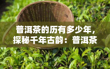 普洱茶的历有多少年，探秘千年古韵：普洱茶的历溯源