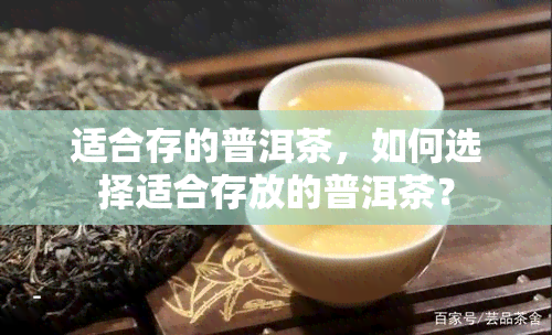 适合存的普洱茶，如何选择适合存放的普洱茶？