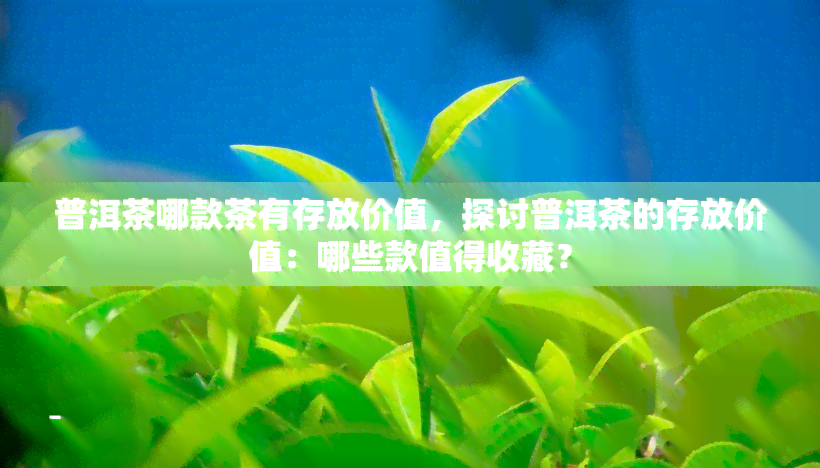 普洱茶哪款茶有存放价值，探讨普洱茶的存放价值：哪些款值得收藏？