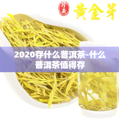 2020存什么普洱茶-什么普洱茶值得存