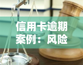 信用卡逾期案例：风险解析与启示，有序回归模型分析最新情况