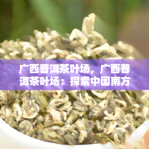 广西普洱茶叶场，广西普洱茶叶场：探索中国南方的茶文化宝藏