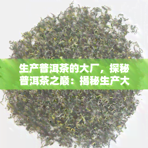 生产普洱茶的大厂，探秘普洱茶之巅：揭秘生产大厂的神秘面纱