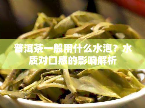 普洱茶一般用什么水泡？水质对口感的影响解析