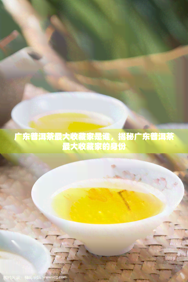 广东普洱茶更大收藏家是谁，揭秘广东普洱茶更大收藏家的身份