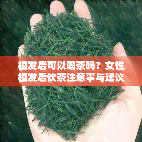 植发后可以喝茶吗？女性植发后饮茶注意事与建议