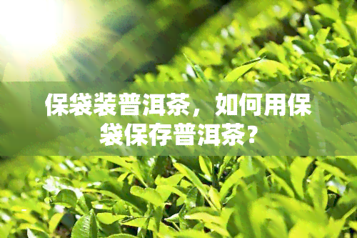 保袋装普洱茶，如何用保袋保存普洱茶？