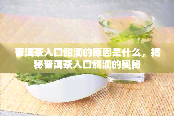 普洱茶入口甜润的原因是什么，揭秘普洱茶入口甜润的奥秘