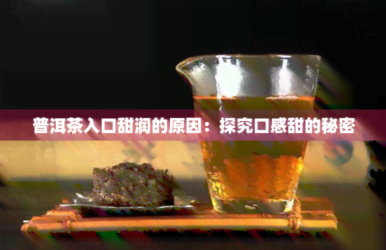 普洱茶入口甜润的原因：探究口感甜的秘密